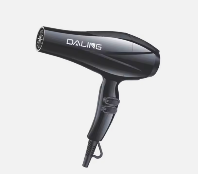 Electric Hair Dryer