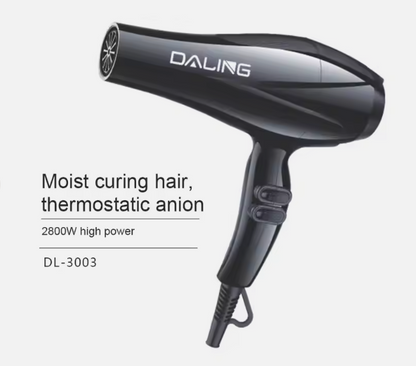 Electric Hair Dryer