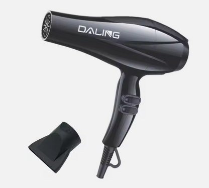 Electric Hair Dryer